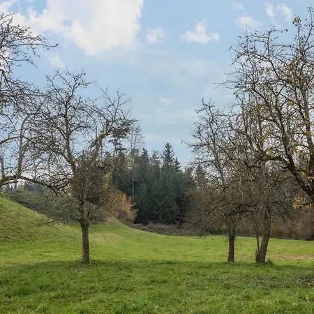 Ferienwohnung Achraintal 2 *